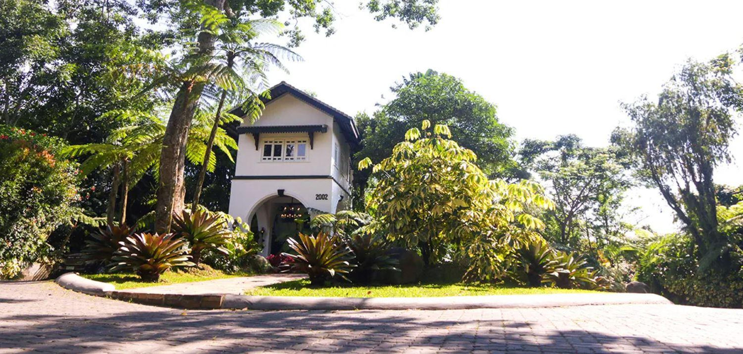 The Wedding Website of Dorothy Tan and David Narciso