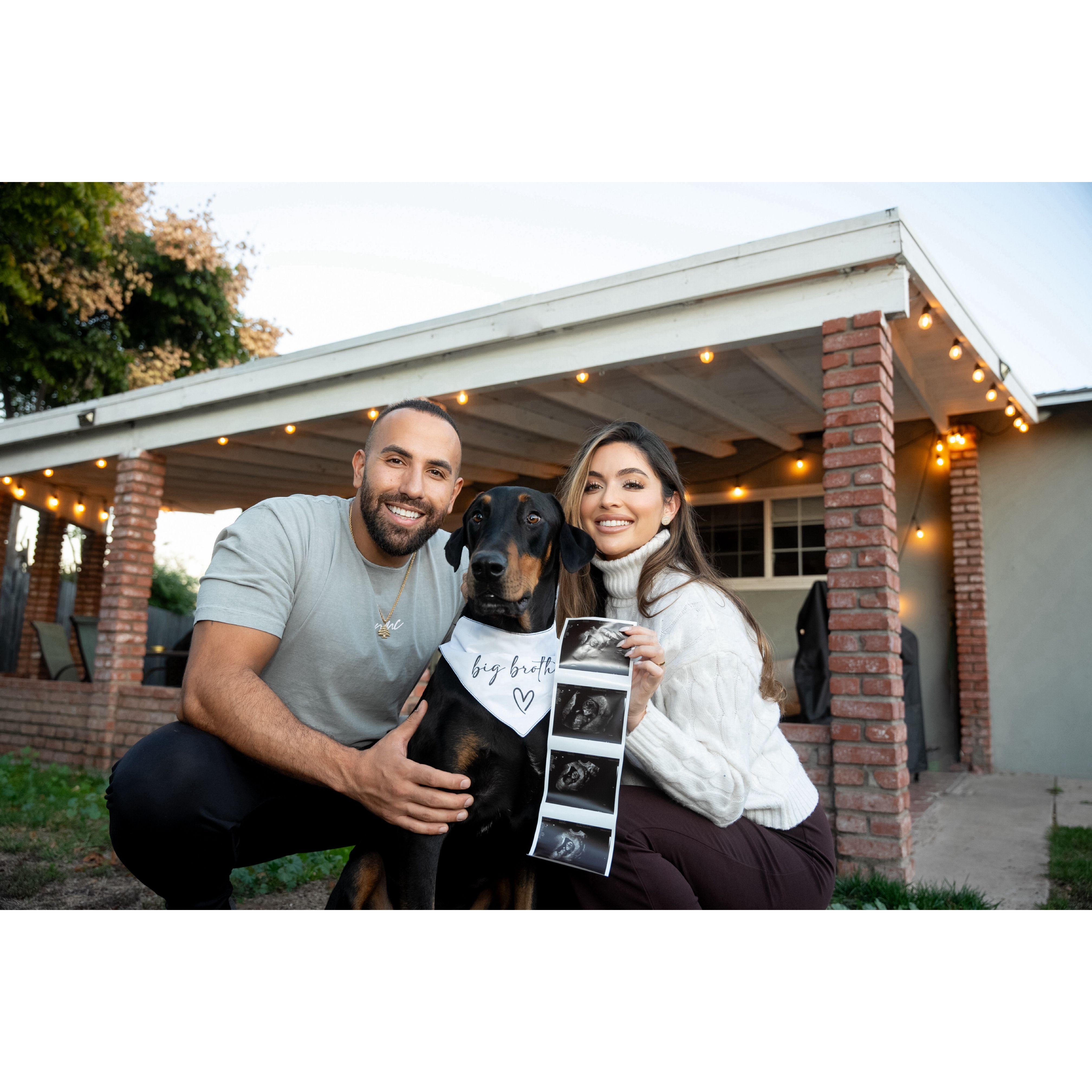 THE START OF OUR LITTLE FAMILY