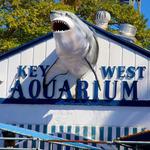 Key West Aquarium