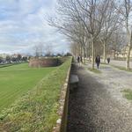 Walls of Lucca
