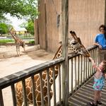 Sedgwick County Zoo