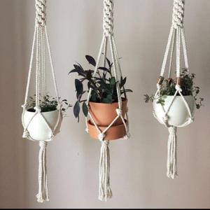 Minimal plant hanger