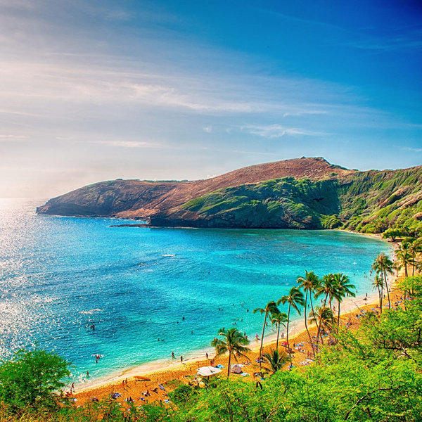 Maui Honeymoon Fund