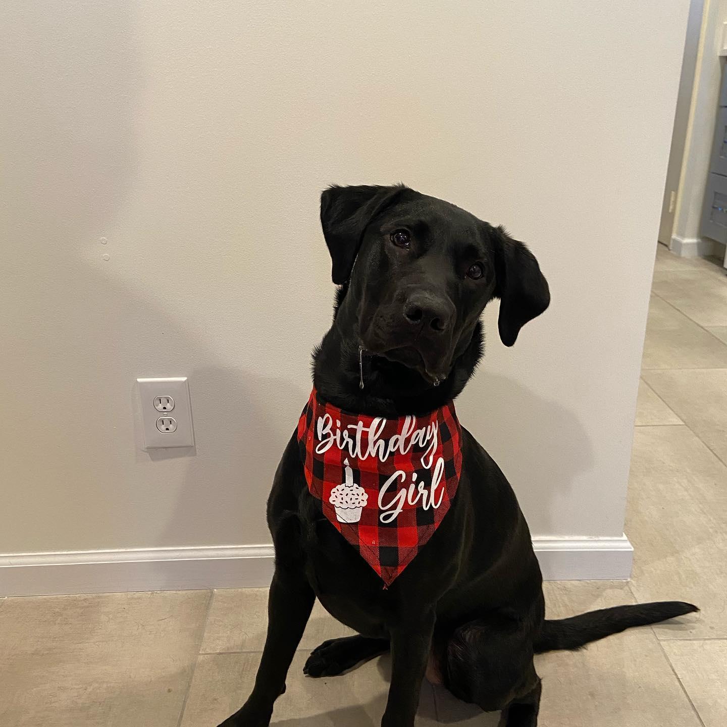 Ruby's 1st birthday! Massive drooling is her super power