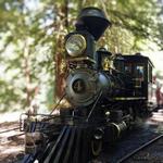 Tilden Park Steam Train at the Redwood Valley Railway