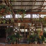 Blooming Hill Farm