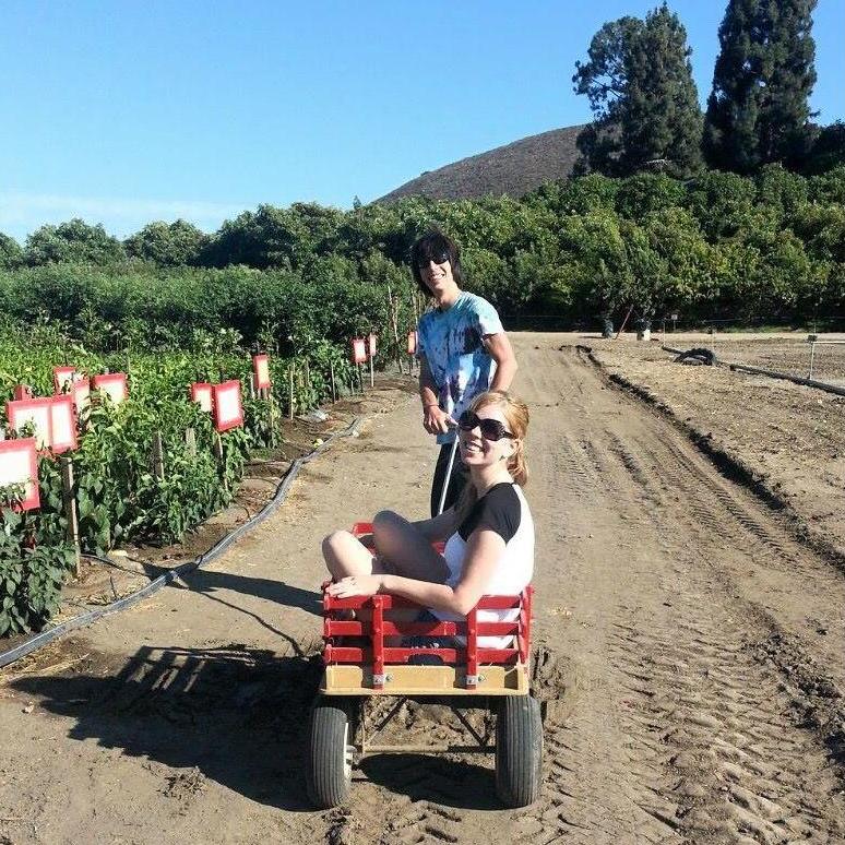 On our way to pick strawberries in Oxnard, CA