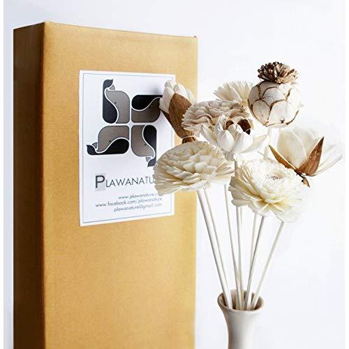 Plawanature Set of 8 Mixed Sola Wood Flower Reed Diffuser for Home Fragrance Aroma Oil.