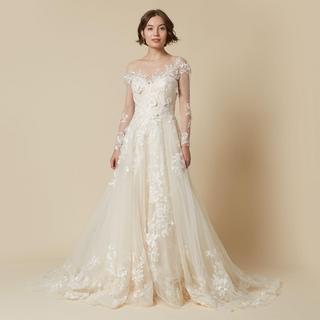 A-Line Court Train Tulle Lace Organza Wedding Dress