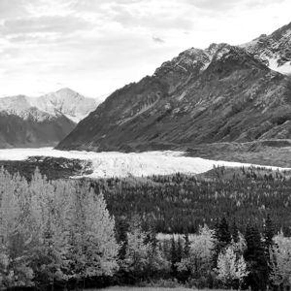 Alaskan Cruise (Honeymoon Fund)