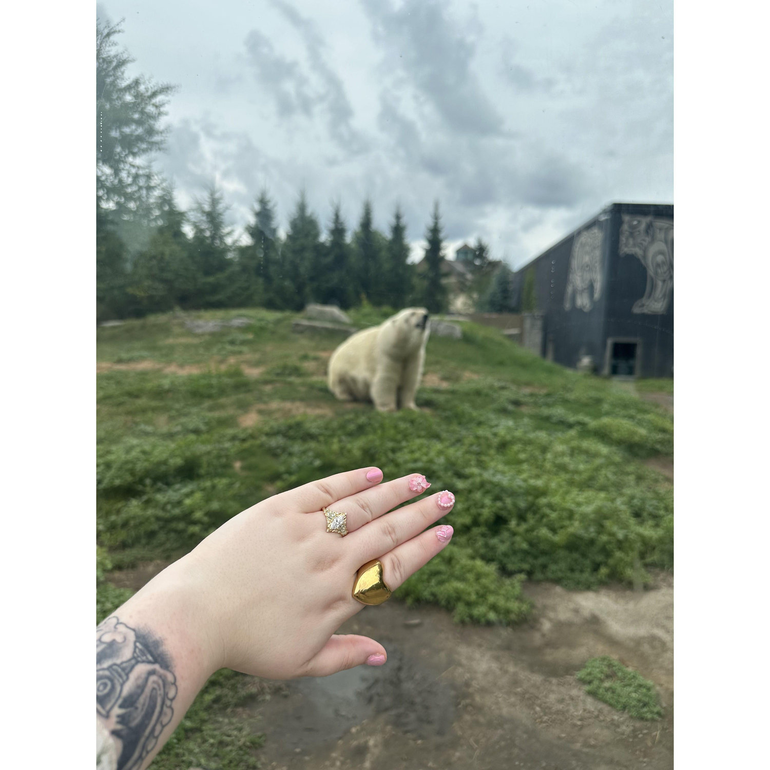 Jon Proposed at the Buffalo zoo on our 6th year anniversary August 19th.
