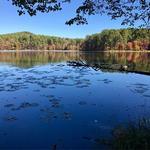 Daingerfield State Park