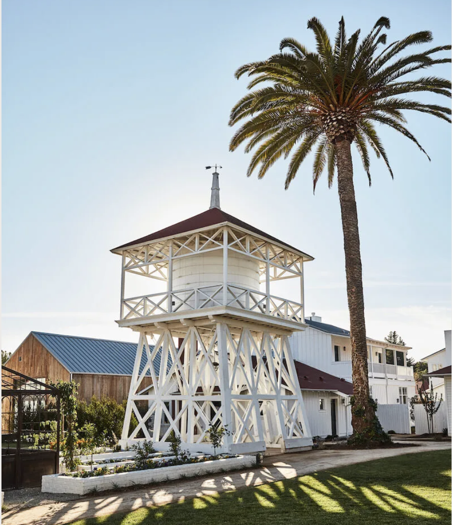 The Wedding Website of Amy Dunitz and Yoni Ginsberg