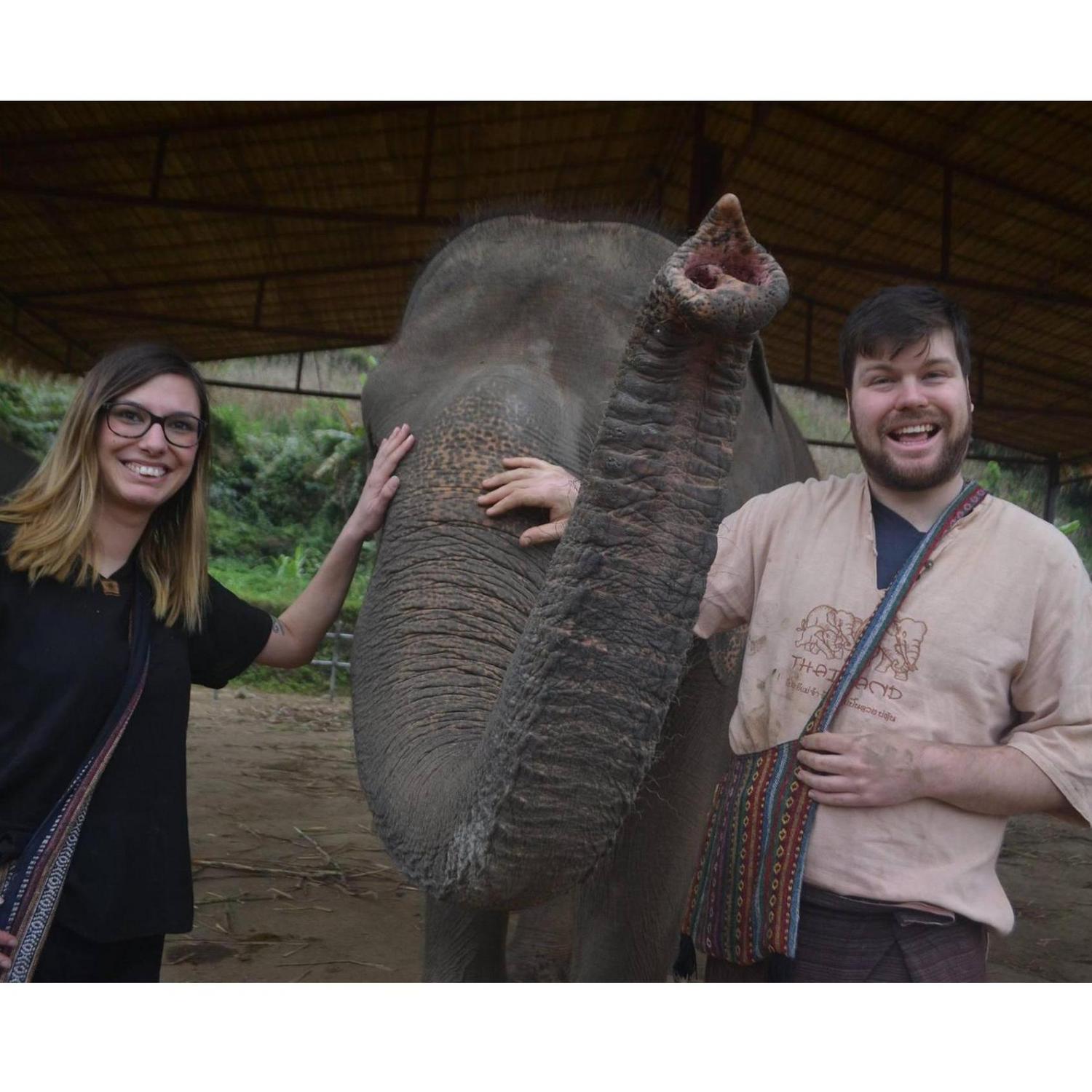 Playing with and nurturing some elephants in Chiang Mai. Who knew elephants loved bananas so much?