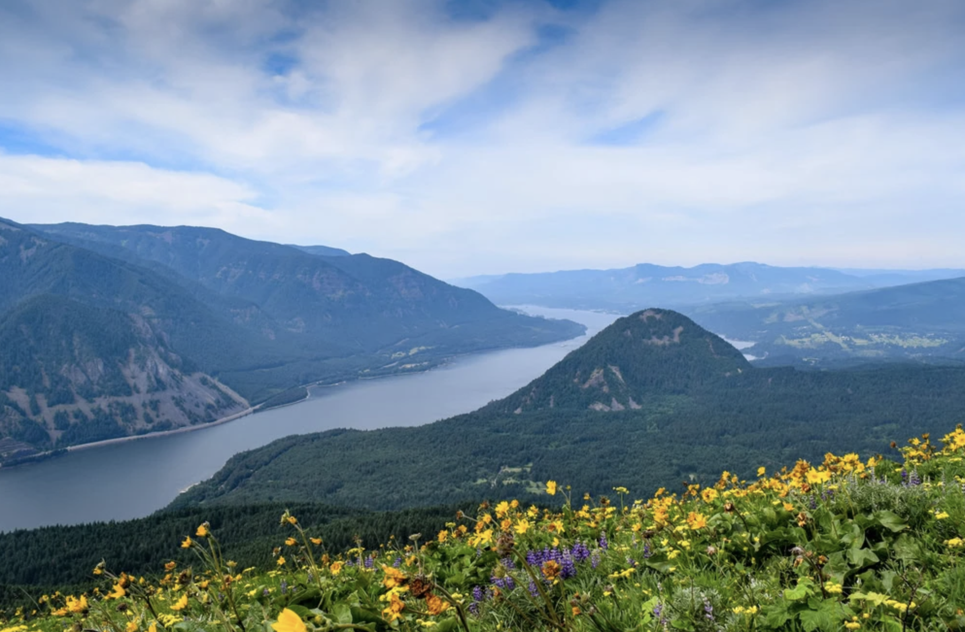 The Wedding Website of Erica Henderson and Noel D'Souza