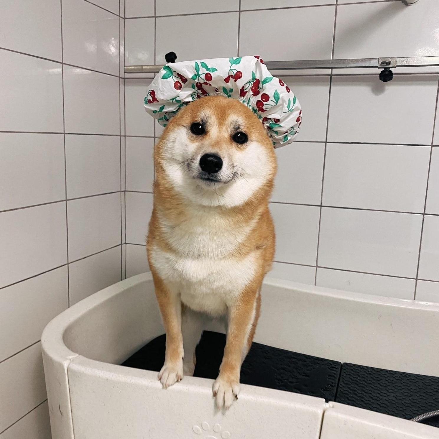 "Where's my towel?"