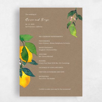 Natural, Brown Wedding Program - Folly