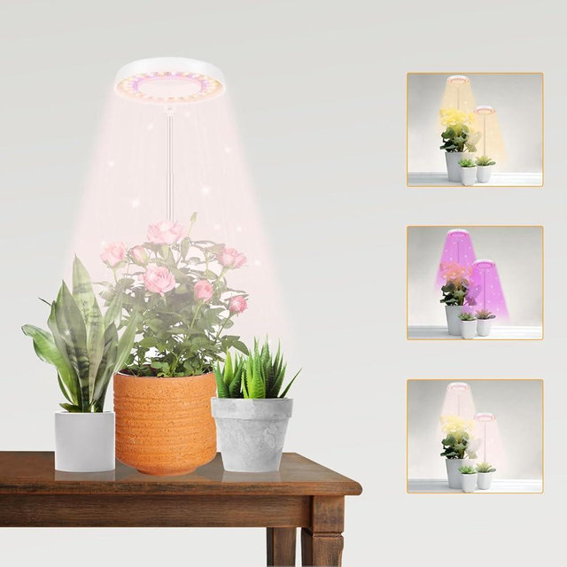 GooingTop LED Grow Light, Halo Plant Lamp for Indoor Plants Growing, White Low Light for Succulents Mini Small Plants Growth,Upgrade Timer 4/8/12/18 Hrs & Variable Spectrum,1 Pack