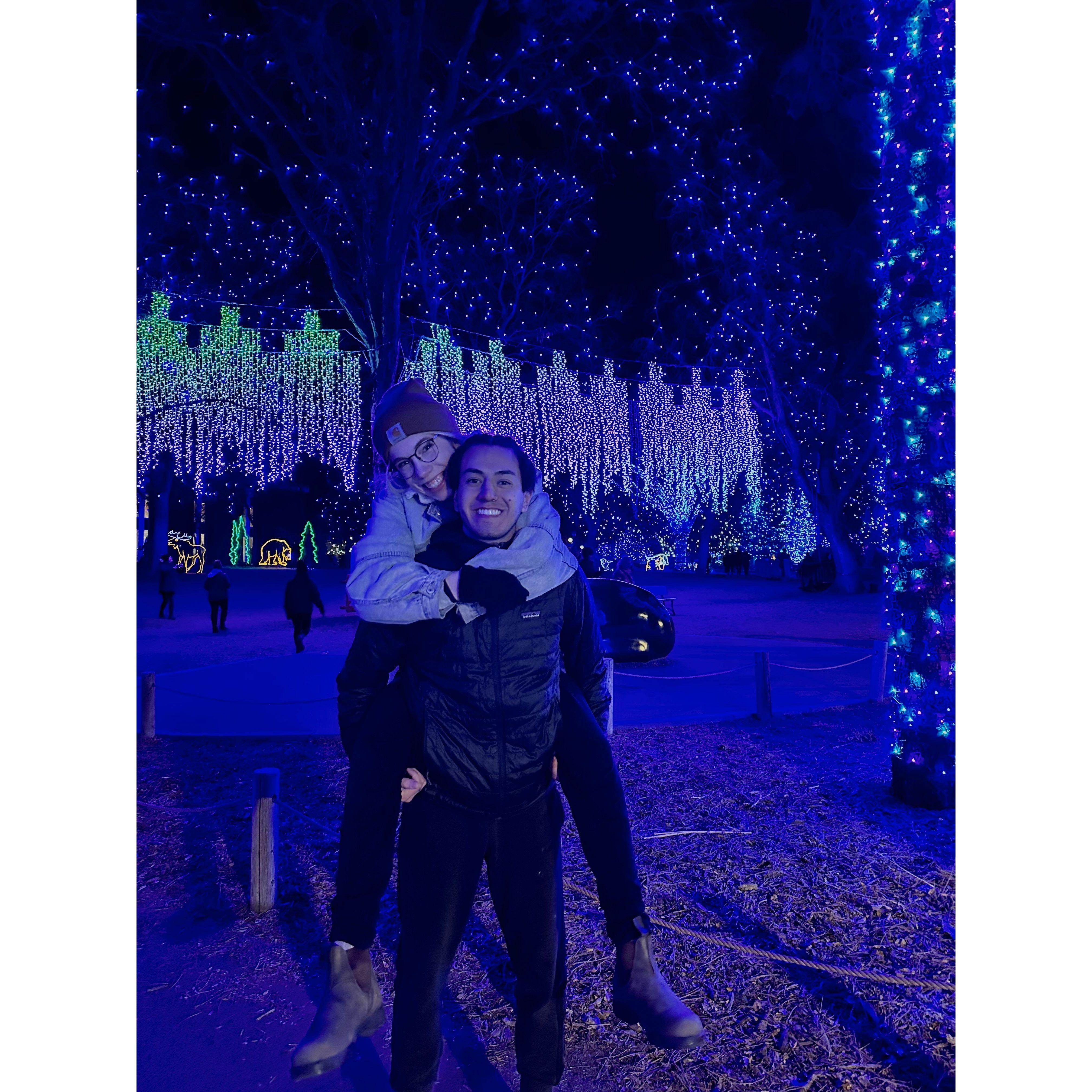 Zoo lights, december '22