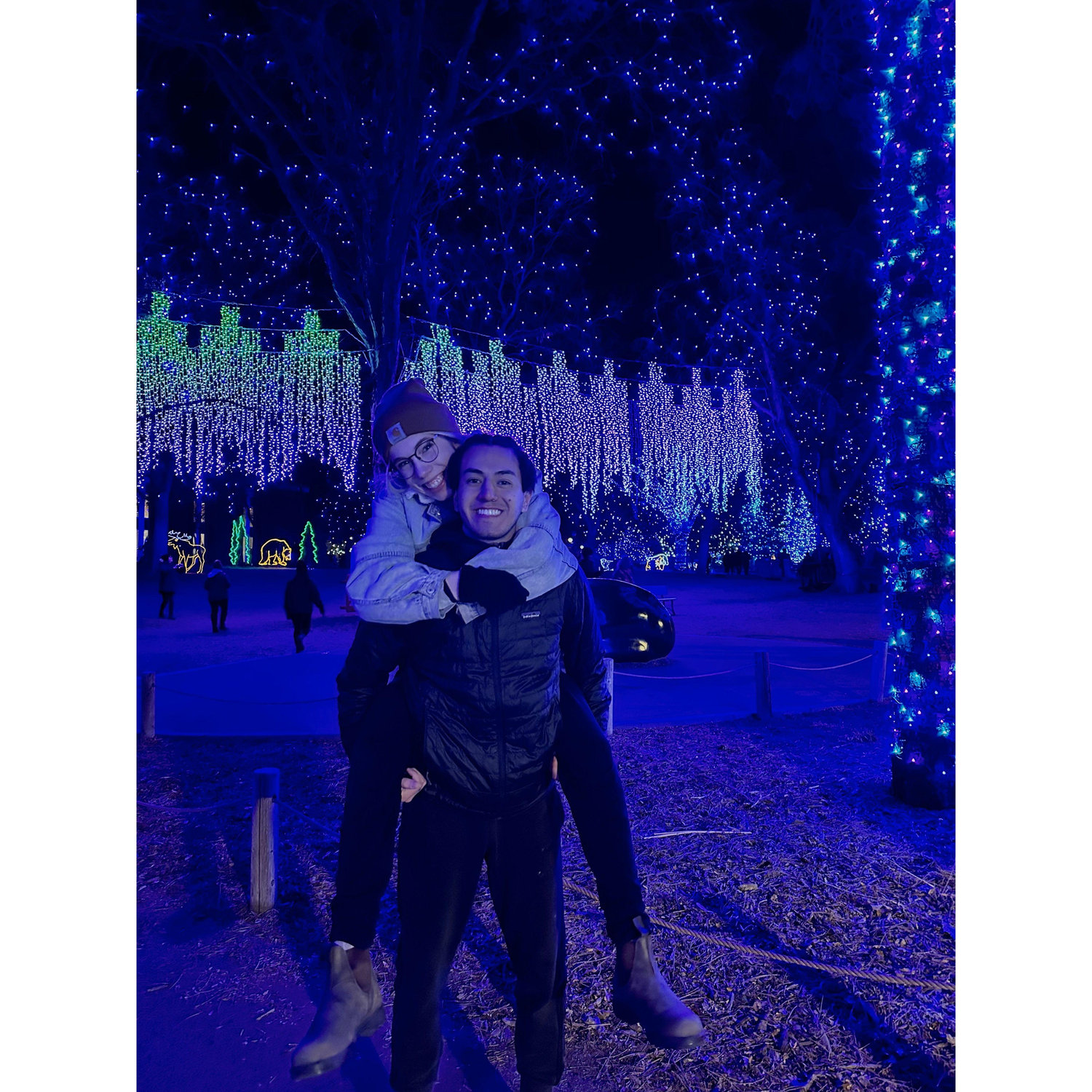 Zoo lights, december '22