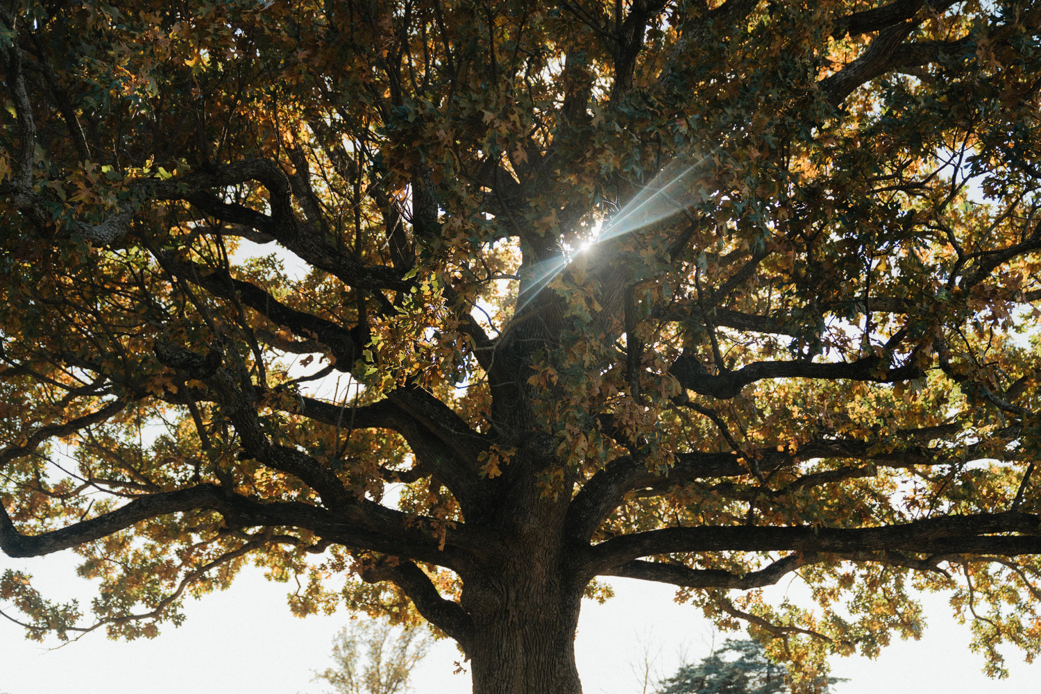 The Wedding Website of Andrea Barreda and Rachel Newburg