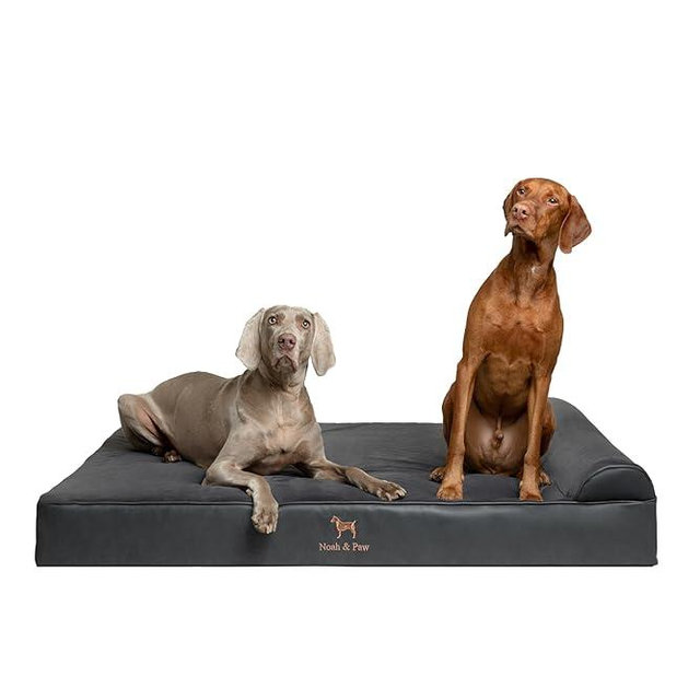 NOAH & PAW Giant Dog Bed XXL 55x45x9.5 Inch, Orthopedic Dog Beds, Eggshell Memory Foam Infused with Cooling Gel, Waterproof, Machine Washable, Includes Inner Cover (Faux Leather)