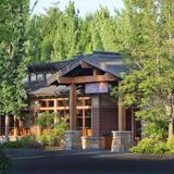 Barking Frog
