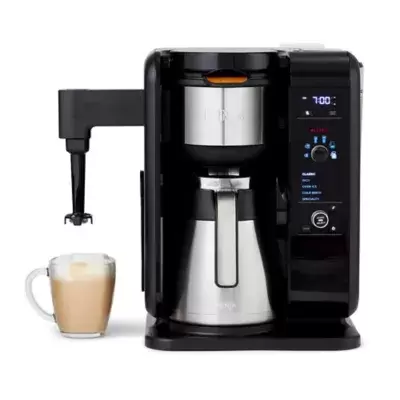 Ninja Hot and Cold Brew System