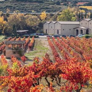 Fancy Wine Tasting in Rioja Region