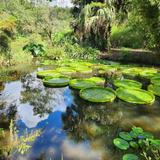 Kanapaha Botanical Gardens