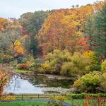 Jenkins Arboretum & Gardens