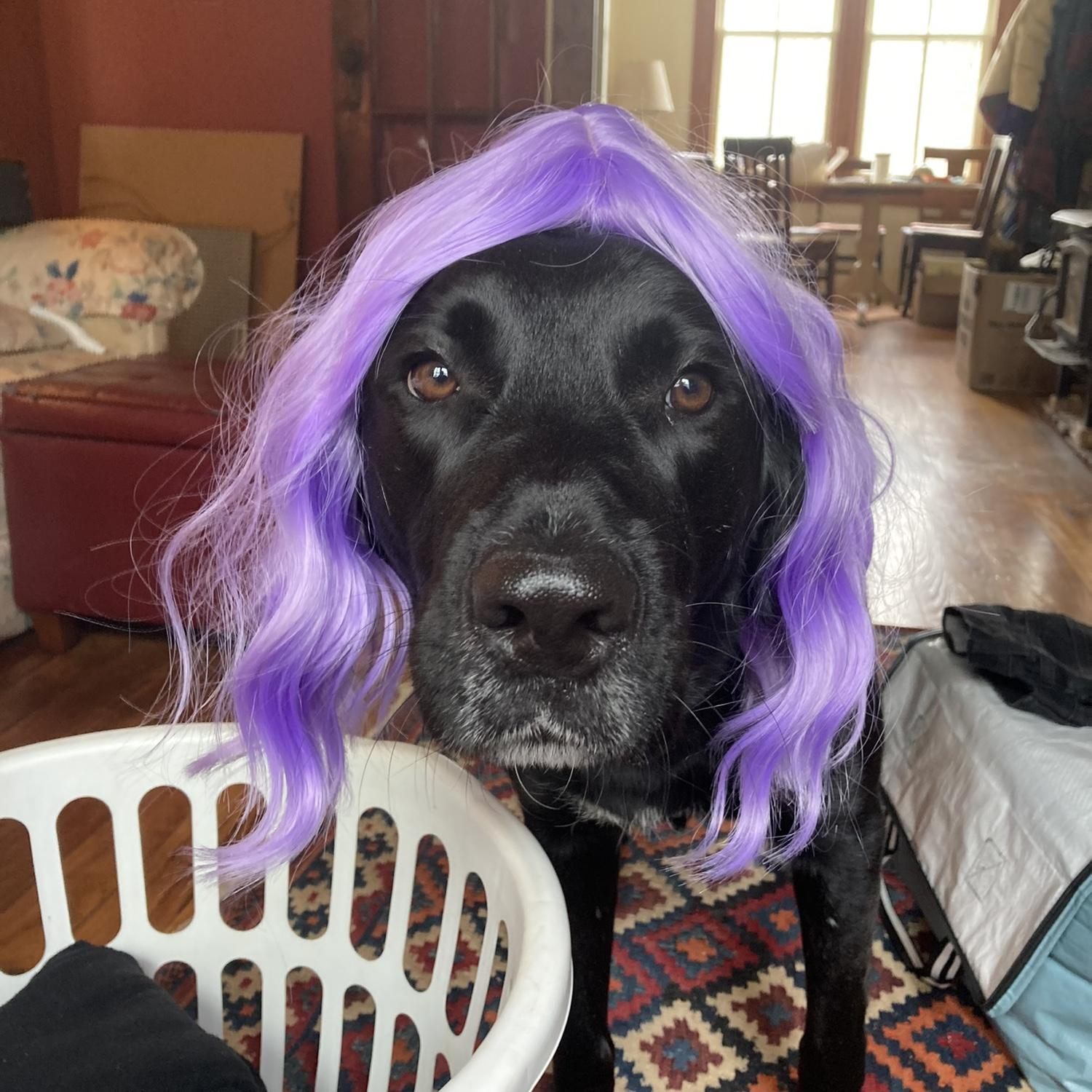 Juni incognito