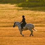 Widowmaker Trail Rides