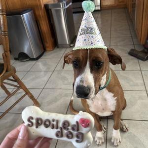 Basil's Toy Fund