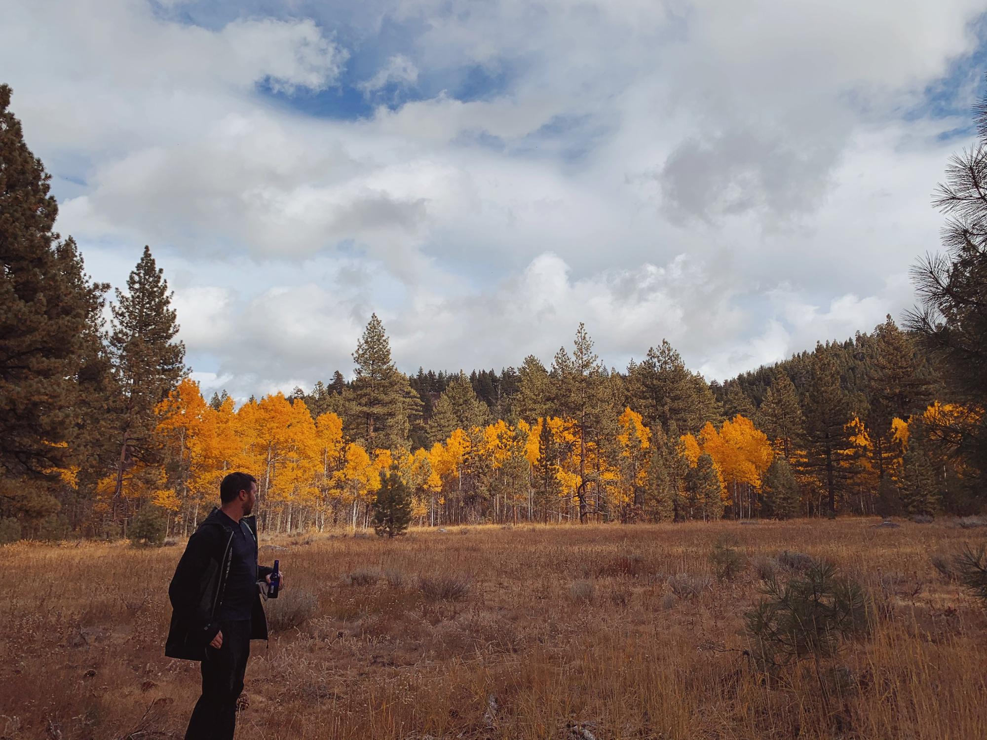 Fall foilage, 2019