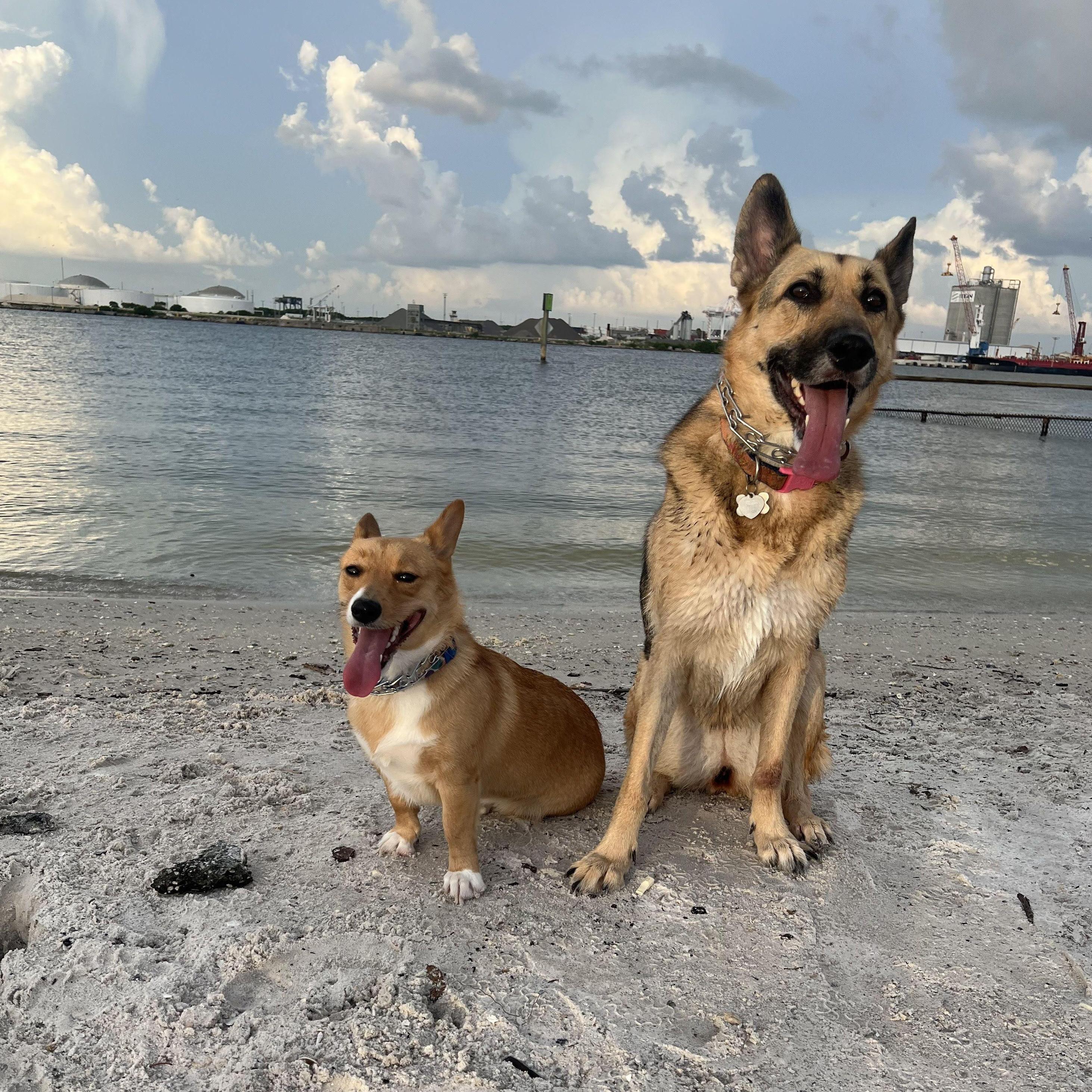 Finally moved our girls to the beach! July 18, 2022