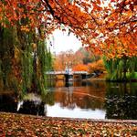 Boston Common & Public Gardens