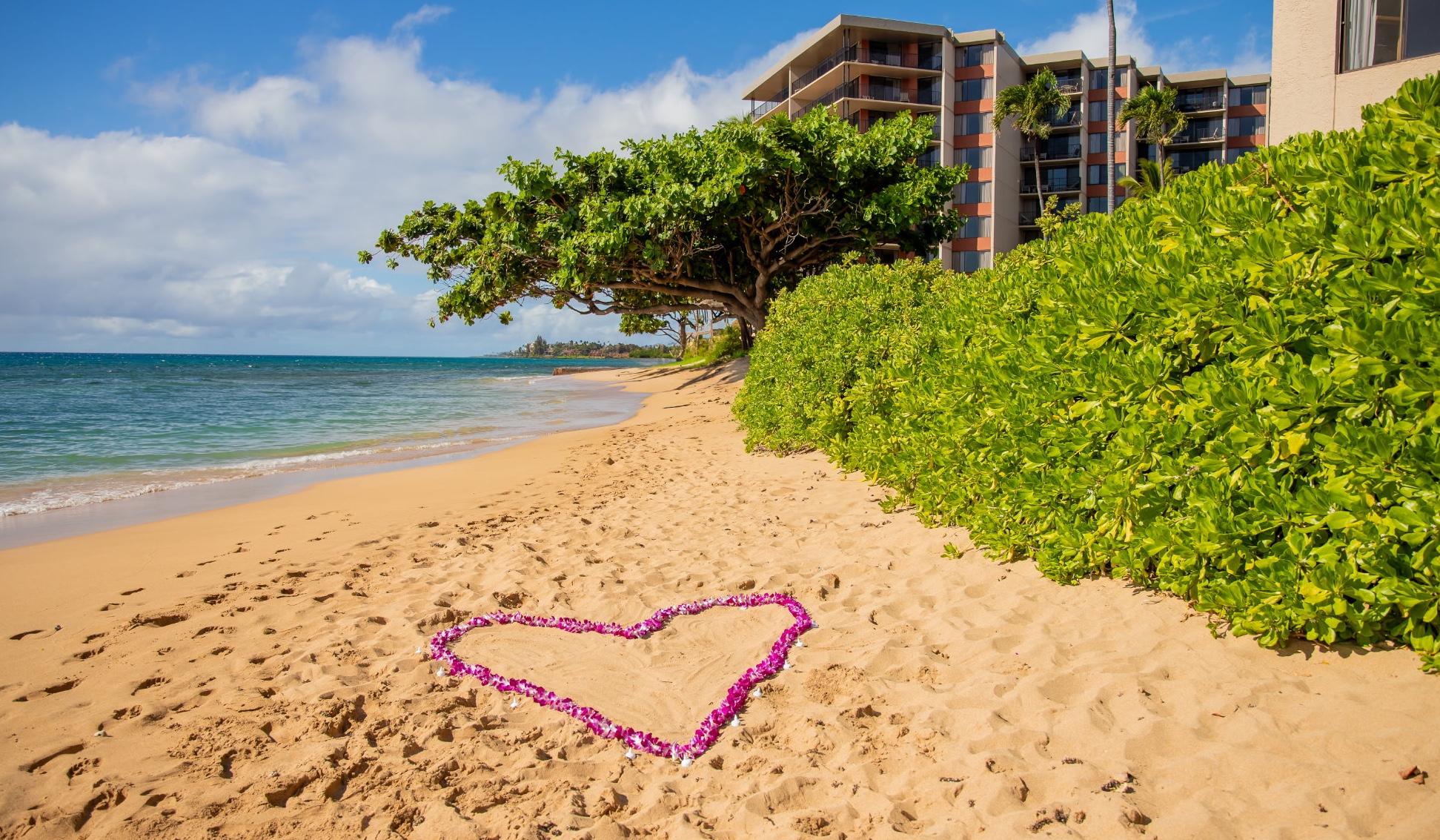 Hero Slideshow Image 4