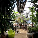 Greenhouse Bar