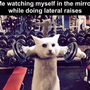 (Venmo) Gym Membership For Two