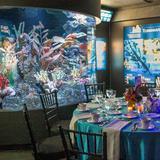 New England Aquarium