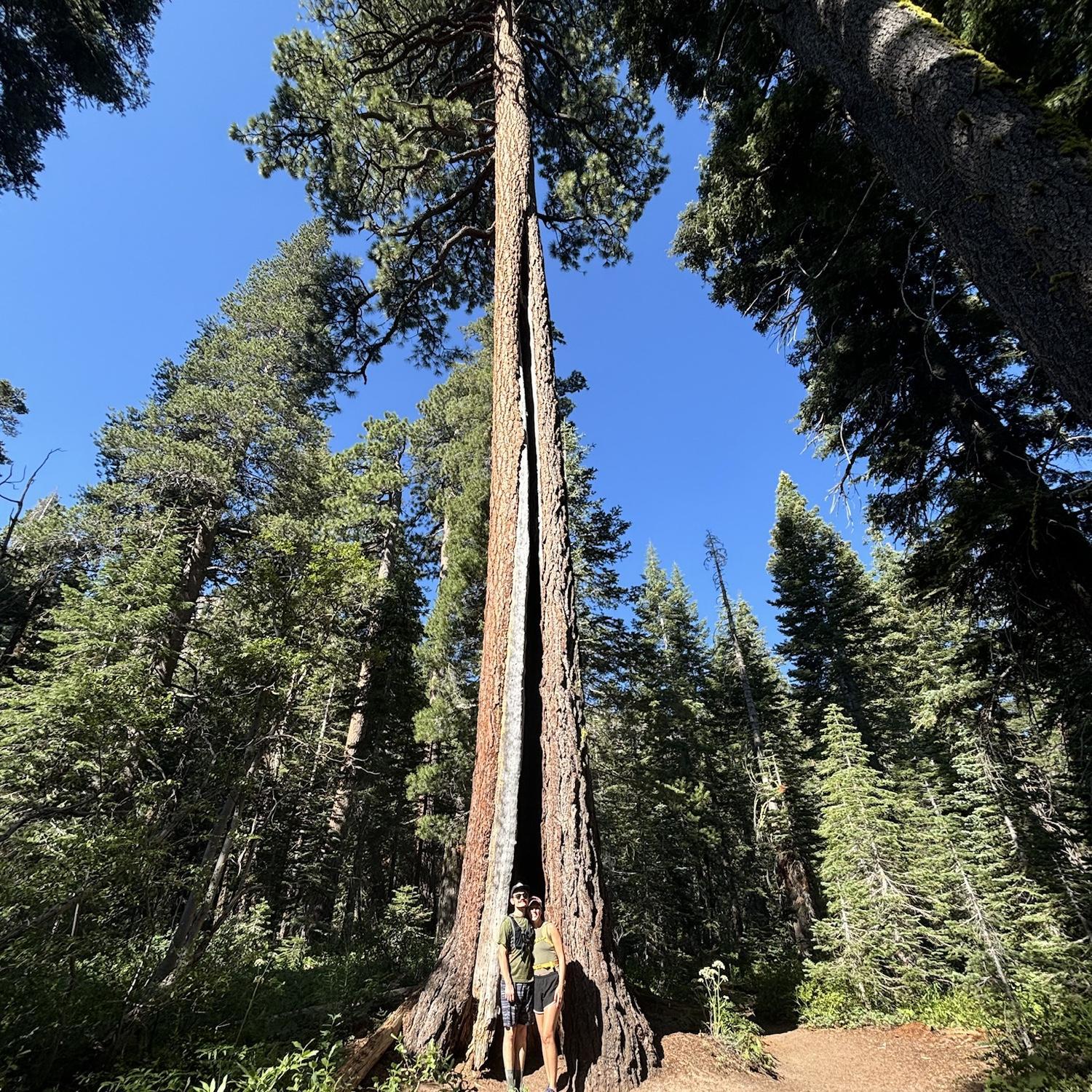 Hiking trip while visiting friends in Nevada- July 23rd, 2024