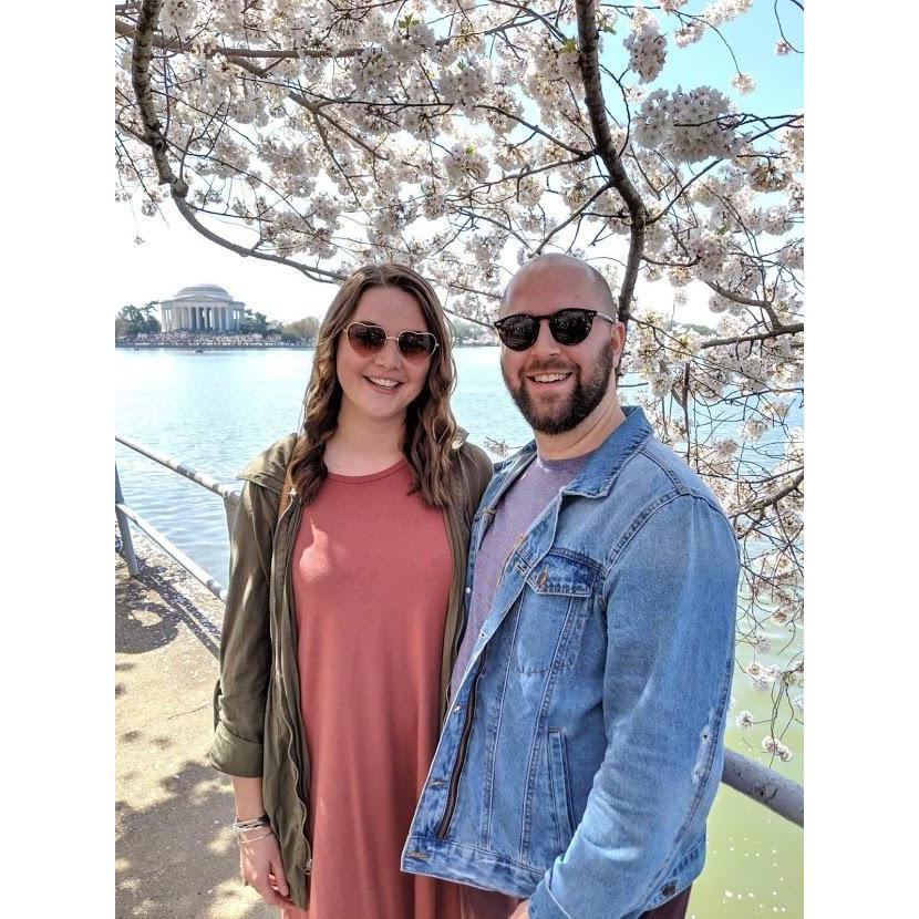 Experiencing the cherry blossoms.