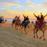 Camel Rides