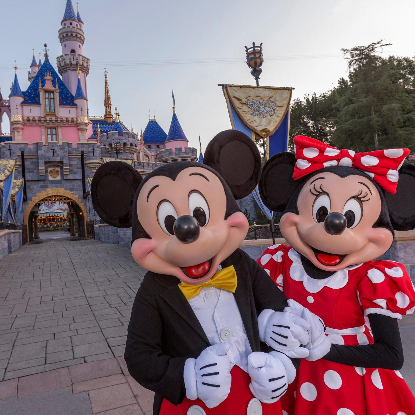Disneyland Fund