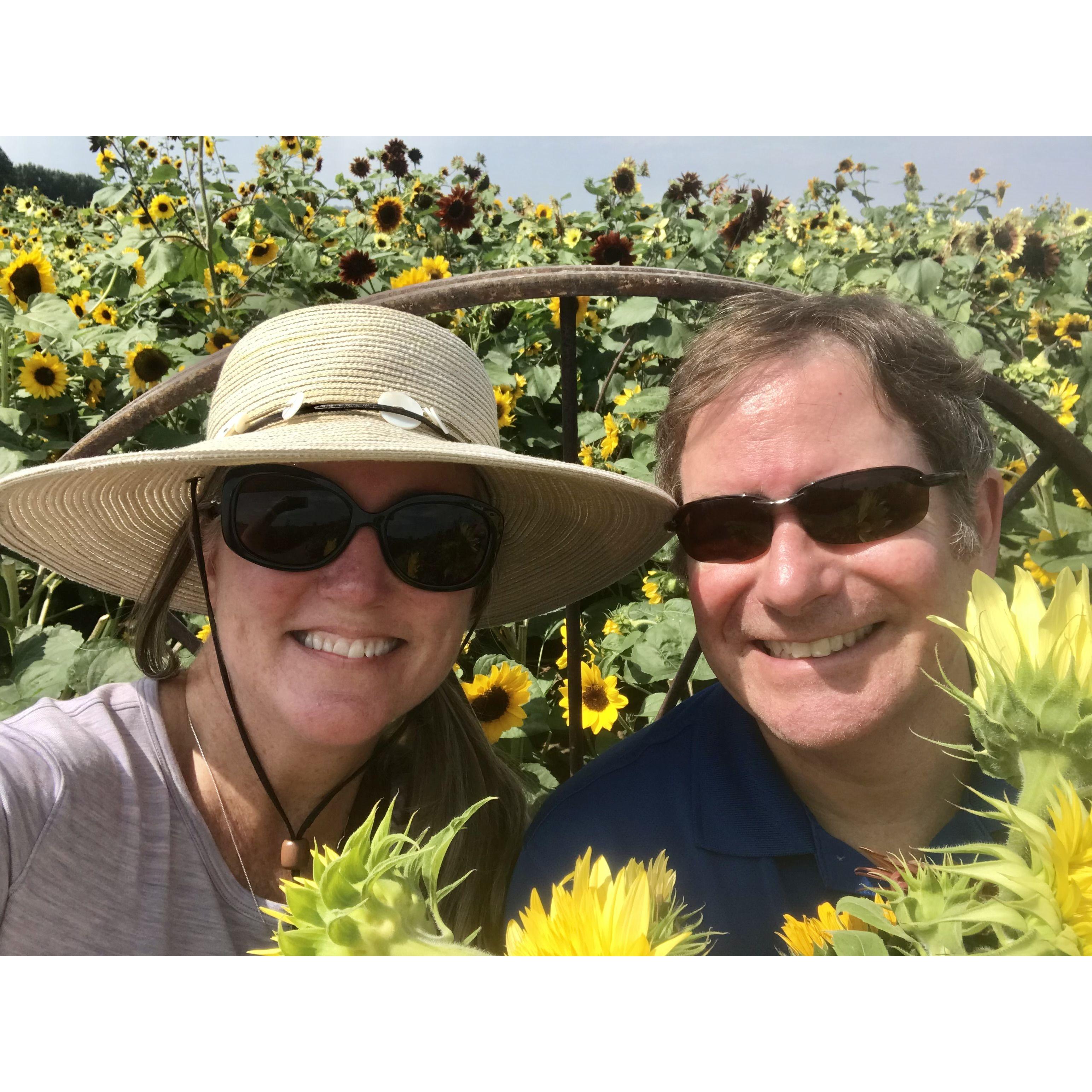 Picking sunflowers at Anderson Farms in Erie, Colorado.