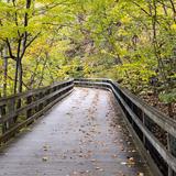 Saunders-Monticello Trail