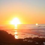 La Jolla Cove