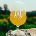 Oxbow Brewing Company