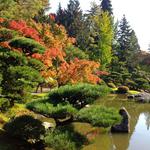 Washington Park Arboretum UW Botanic Gardens